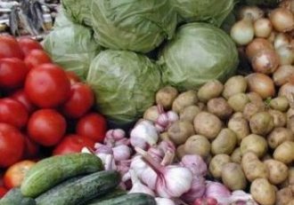 Овощеводство и садоводство – приоритетные направления Овощеводство и садоводство – приоритетные направления